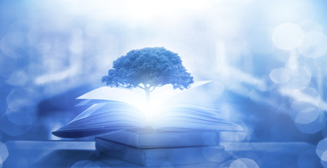 蓝魔q23 歌美E300